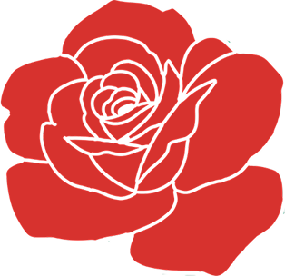 rose